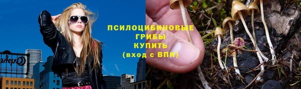 мдпв Балахна